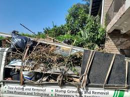 Best Garage Cleanout  in Cold Springs, NV