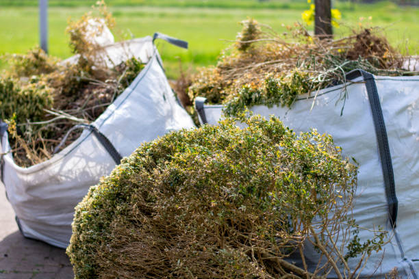 Recycling Services for Junk in Cold Springs, NV